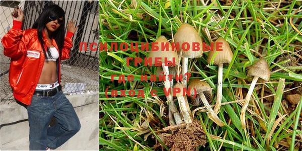 таблы Белокуриха