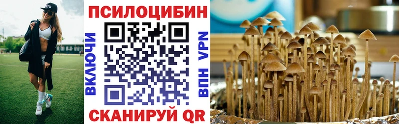 Псилоцибиновые грибы Psilocybe  Иркутск 